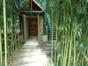 bamboo_surrounding_treetop_viewing_structure