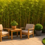Bamboo Landscaping Ideas
