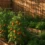 The Garden Behind the Screen: Will Bamboo Panels Change Sunlight for Your Plants?
